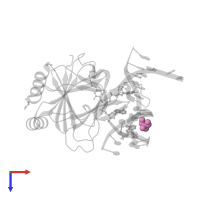 2-AMINO-2-HYDROXYMETHYL-PROPANE-1,3-DIOL in PDB entry 3h8r, assembly 1, top view.