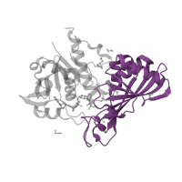 The deposited structure of PDB entry 3h9e contains 2 copies of Pfam domain PF02800 (Glyceraldehyde 3-phosphate dehydrogenase, C-terminal domain) in Glyceraldehyde-3-phosphate dehydrogenase, testis-specific. Showing 1 copy in chain B [auth P].