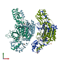 PDB entry 3h9g coloured by chain, front view.