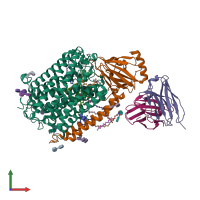 PDB entry 3hb3 coloured by chain, front view.