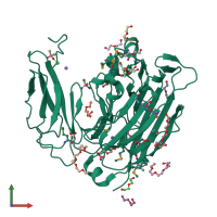 PDB entry 3hbz coloured by chain, front view.