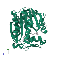 Phenylethanolamine N-methyltransferase in PDB entry 3hcd, assembly 1, side view.