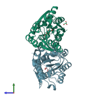 PDB entry 3hcw coloured by chain, side view.