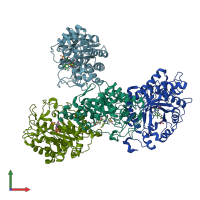 PDB entry 3hf3 coloured by chain, front view.