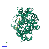 PDB entry 3hfb coloured by chain, side view.