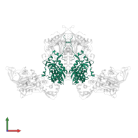 Phenylalanine--tRNA ligase alpha subunit in PDB entry 3hfz, assembly 1, front view.