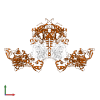 Phenylalanine--tRNA ligase beta subunit in PDB entry 3hfz, assembly 1, front view.
