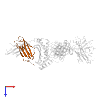 Beta-2-microglobulin in PDB entry 3hg1, assembly 1, top view.