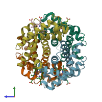 PDB entry 3hhb coloured by chain, side view.
