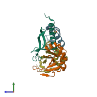 PDB entry 3hi2 coloured by chain, side view.