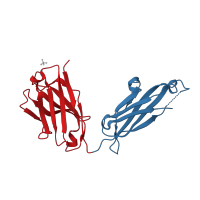 The deposited structure of PDB entry 3hi6 contains 4 copies of CATH domain 2.60.40.10 (Immunoglobulin-like) in Heavy chain of Fab fragment of AL-57 against alpha L I domain. Showing 2 copies in chain E [auth X].