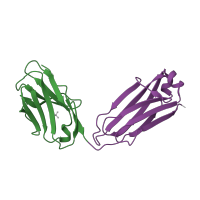 The deposited structure of PDB entry 3hi6 contains 4 copies of CATH domain 2.60.40.10 (Immunoglobulin-like) in light chain of Fab fragment of AL-57 against alpha L I domain. Showing 2 copies in chain D [auth L].