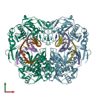 PDB entry 3hk2 coloured by chain, front view.