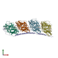 PDB entry 3hke coloured by chain, front view.