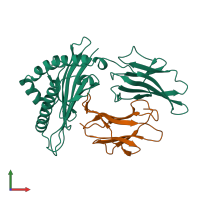 PDB entry 3hla coloured by chain, front view.