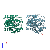 PDB entry 3hlp coloured by chain, top view.