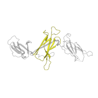 The deposited structure of PDB entry 3hmx contains 1 copy of Pfam domain PF10420 (Cytokine interleukin-12p40 C-terminus) in Interleukin-12 subunit beta. Showing 1 copy in chain A.