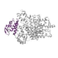 The deposited structure of PDB entry 3hne contains 2 copies of Pfam domain PF03477 (ATP cone domain) in Ribonucleoside-diphosphate reductase large subunit. Showing 1 copy in chain B.