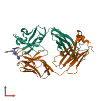 PDB entry 3hns coloured by chain, front view.