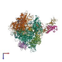 Hetero 15-meric assembly 1 of PDB entry 3hoz coloured by chemically distinct molecules, top view.