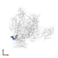 DNA-directed RNA polymerases I, II, and III subunit RPABC5 in PDB entry 3hoz, assembly 1, front view.