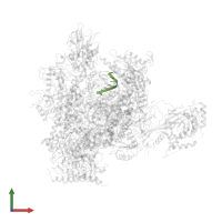 5'-D(*AP*CP*TP*AP*CP*TP*TP*GP*AP*GP*CP*T)-3' in PDB entry 3hoz, assembly 1, front view.