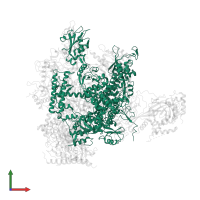 DNA-directed RNA polymerase II subunit RPB1 in PDB entry 3hoz, assembly 1, front view.