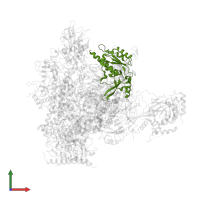 DNA-directed RNA polymerases I, II, and III subunit RPABC1 in PDB entry 3hoz, assembly 1, front view.