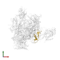 DNA-directed RNA polymerases I, II, and III subunit RPABC2 in PDB entry 3hoz, assembly 1, front view.