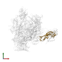 DNA-directed RNA polymerase II subunit RPB7 in PDB entry 3hoz, assembly 1, front view.