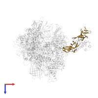 DNA-directed RNA polymerase II subunit RPB7 in PDB entry 3hoz, assembly 1, top view.