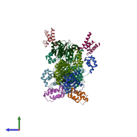 PDB entry 3hpg coloured by chain, side view.