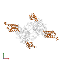 PC4 and SFRS1-interacting protein in PDB entry 3hph, assembly 1, front view.