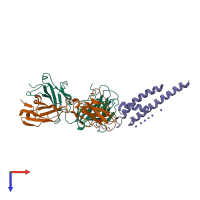 PDB entry 3hpl coloured by chain, top view.