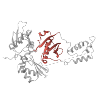 The deposited structure of PDB entry 3hvt contains 1 copy of Pfam domain PF06815 (Reverse transcriptase connection domain) in p51 RT. Showing 1 copy in chain B.