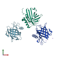 PDB entry 3hwd coloured by chain, front view.