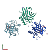 PDB entry 3hwf coloured by chain, front view.