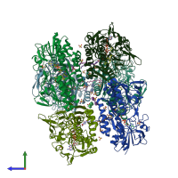 PDB entry 3hyw coloured by chain, side view.