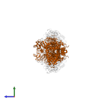 Carbon monoxide dehydrogenase/acetyl-CoA synthase subunit alpha in PDB entry 3i01, assembly 1, side view.