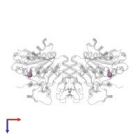 beta-D-galactopyranose in PDB entry 3i0l, assembly 1, top view.