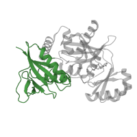 The deposited structure of PDB entry 3i12 contains 4 copies of CATH domain 3.40.50.20 (Rossmann fold) in D-alanine--D-alanine ligase A. Showing 1 copy in chain A.