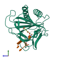 PDB entry 3i2o coloured by chain, side view.