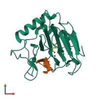 PDB entry 3i3m coloured by chain, front view.