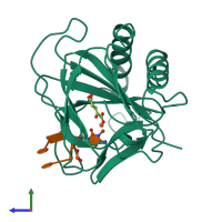 PDB entry 3i49 coloured by chain, side view.