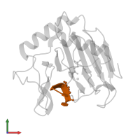 DNA (5'-D(P*TP*(ME6)P*T)-3') in PDB entry 3i49, assembly 1, front view.