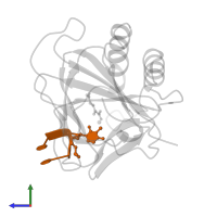 DNA (5'-D(P*TP*(ME6)P*T)-3') in PDB entry 3i49, assembly 1, side view.