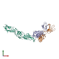 PDB entry 3i50 coloured by chain, front view.