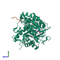 PDB entry 3i65 coloured by chain, side view.