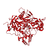 The deposited structure of PDB entry 3i6m contains 1 copy of CATH domain 3.40.50.1820 (Rossmann fold) in Acetylcholinesterase. Showing 1 copy in chain A.