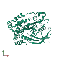 Tyrosine-protein phosphatase non-receptor type 1 in PDB entry 3i7z, assembly 1, front view.